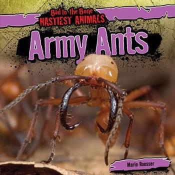Ants  A Book of Creatures
