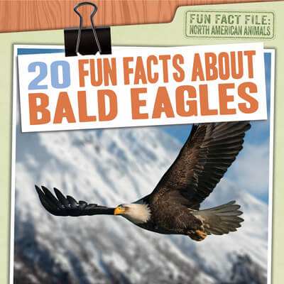 20 Fun Facts About Bald Eagles | Gareth Stevens