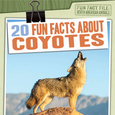 20 Fun Facts About Coyotes | Gareth Stevens