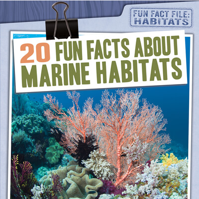20 Fun Facts About Marine Habitats | Gareth Stevens
